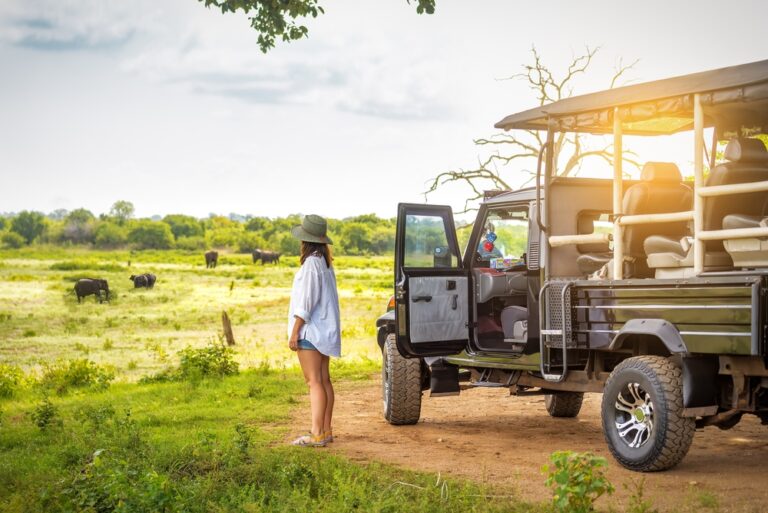 Woman,In,Hat,Observing,Elephants,On,Safari,Tour,On,Sri