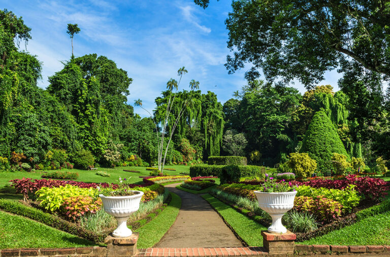 Royal,Botanic,Gardens,,Peradeniya,Are,About,5