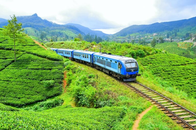 Nanuoya,,Sri,Lanka
