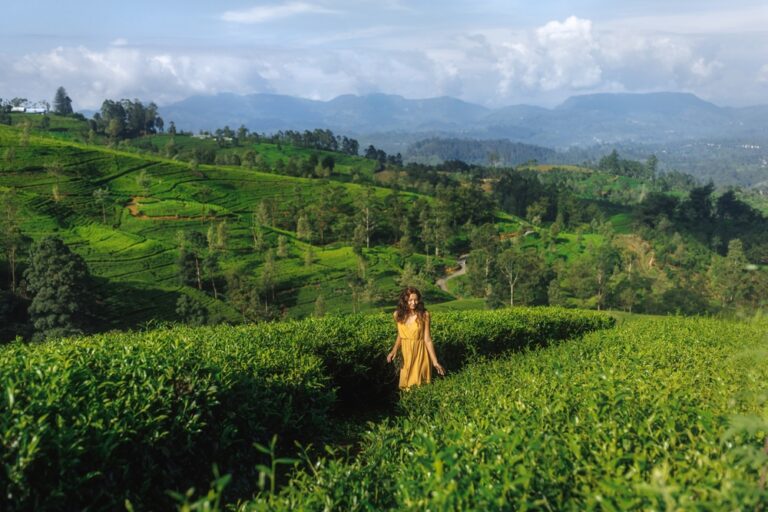 Happy,Woman,Traveler,Walking,Against,The,Tea,Plantations,In,Sri
